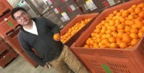 瑞德总裁莅临新州Griffith地区橙子农场考察