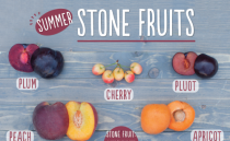 Suja-Juice-Stone-Fruits-500x500.png